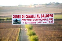 Corsa di cavalli al galoppo - Creti di Cortona 2012