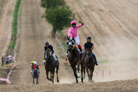 Corsa di cavalli al galoppo - Creti di Cortona 2013